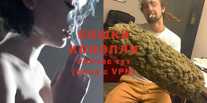 купить наркотики цена  Мытищи  Марихуана SATIVA & INDICA 